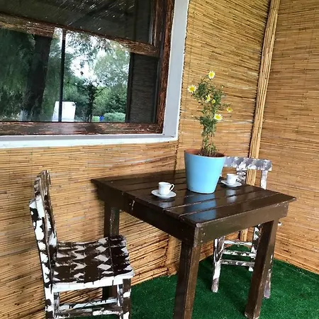 Green Art 리조트 Çeşme