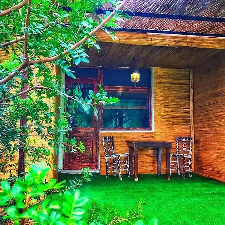 Green Art منتجع *